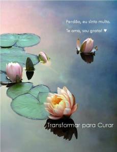 perdao eu sinto muito